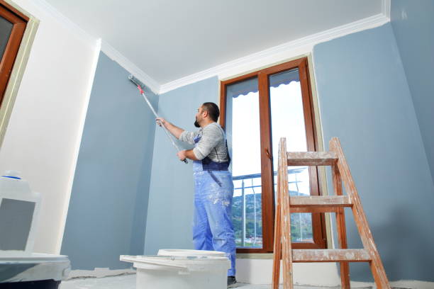 Best Basement Mold Removal  in Mcchord Af, WA