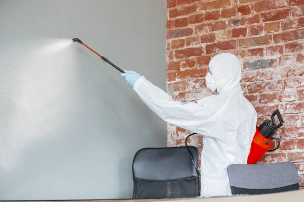 Best HVAC Mold Inspection and Cleaning  in Mcchord Af, WA