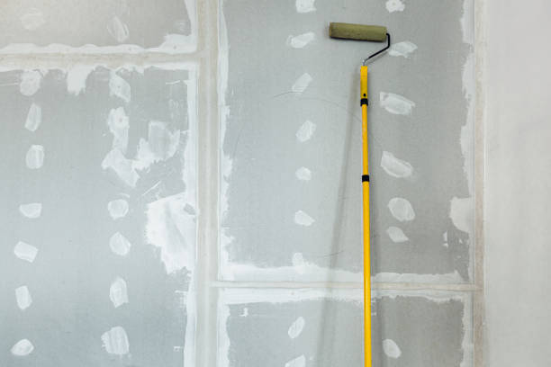 Best Black Mold Removal  in Mcchord Af, WA