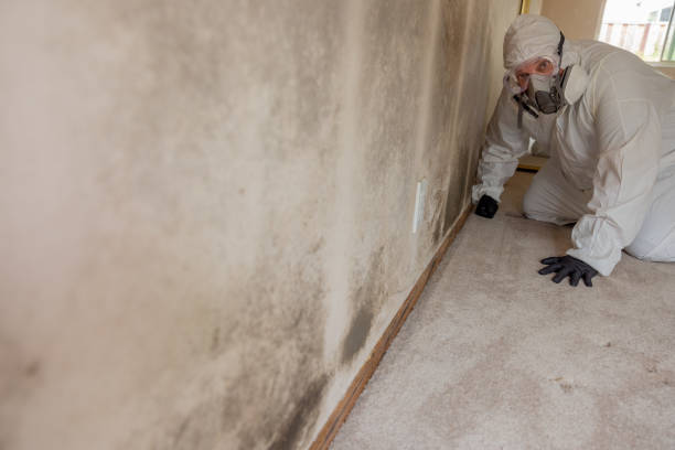 Best Airborne Mold Testing  in Mcchord Af, WA